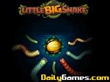 Little big snake